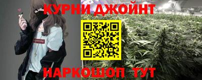 гашик Камышлов