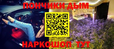 гашик Камышлов