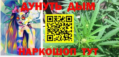 гашик Камышлов