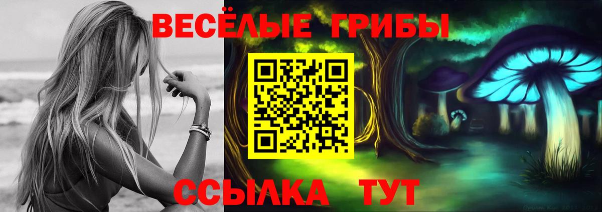 Псилоцибиновые грибы ЛСД  где продают наркотики  Кумертау  Псилоцибиновые грибы мухоморы  Вход с VPN 