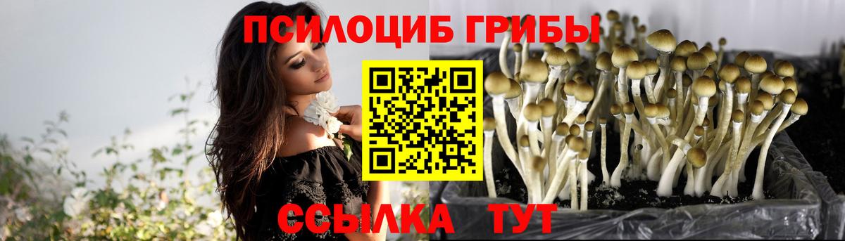 Псилоцибиновые грибы мухоморы Кумертау